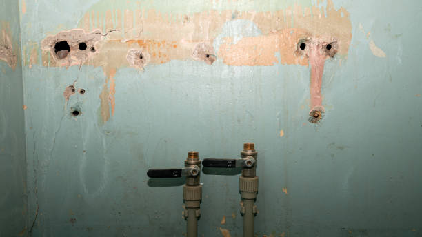 Best Water damage restoration insurance claims  in Edwards Af, CA